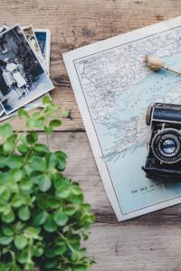 camera, vintage, map, plant, flat lay, retro, photographs, old, nature, old camera, vintage camera, photography